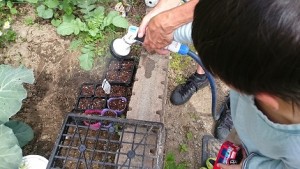 カンタン家庭療育　家庭菜園で豆まき　水やり