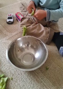 カンタン家庭療育　皮をむく