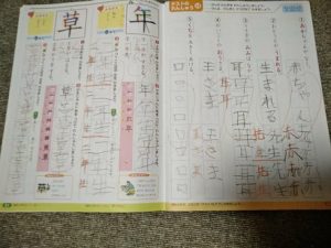 特別支援学級２年生の息子：学習進度と夏休みの家庭学習は・・・