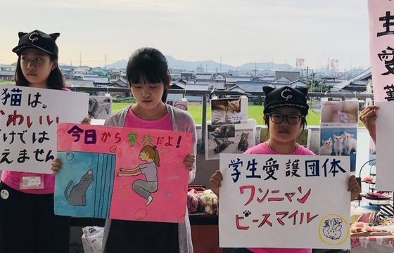 言葉が遅い・自閉症(発達障害)の息子の育児ブログ|澄川綾乃のことば