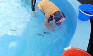 特別支援学級小学校３年生の夏休みの絵画に描くのはこれ